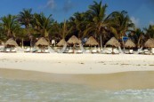 t_ana_beach